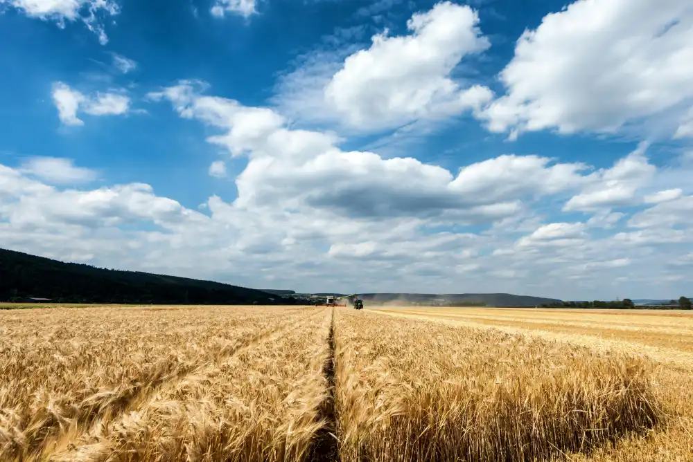 Paarberatung und Sexualberatung in Münsterland