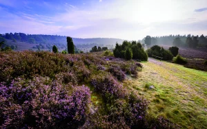 Paarberatung, Sexualberatung, Paartherapie, Sexualtherapie in der Stadt Lüneburger Heide